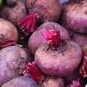 Beet root 500gms