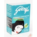 Godrej Permenant Liquid Hair Dye Shampoo Based 45ml Godrej Permenant Liquid Hair Dye Shampoo Based 45ml