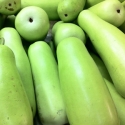 Bottle Gourd 1 Pcs