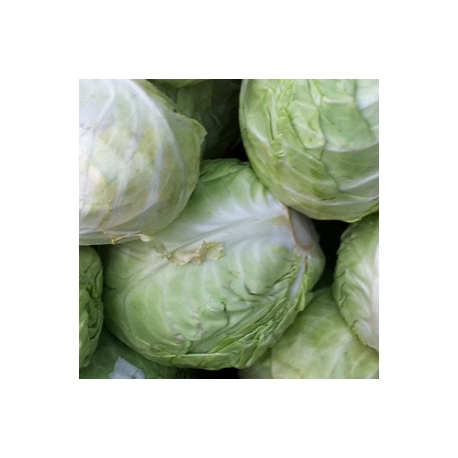 Cabbage 500g