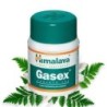 Himalaya Gasex Tablets (100 Tablets)