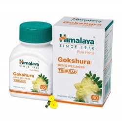 Himalaya Gokshura Men's Wellness Tablets (60 Tablets)