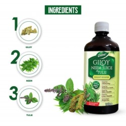 Dabur Giloy Neem Juice with Tulsi - Immunity Booster, Pure, Natural