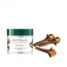 Biotique Bio Clove Purifying Anti Blemish Face Pack, for Oily & Acne