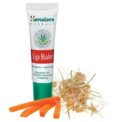 Himalaya Lip Balm with Wheatgerm & Carrot Seed Oil, Pack