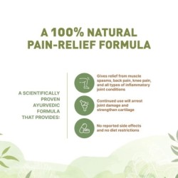 Pankajakasthuri Orthoherb Tablets, of 60 Tablets- Joint Pain Relief