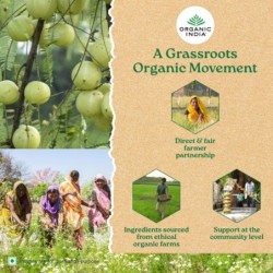 Organic India Tulsi Ginger 25N Infusion Bags- Stress Relieving