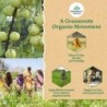 Organic India Tulsi Ginger 25N Infusion Bags- Stress Relieving