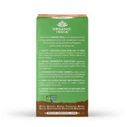 Organic India Ayush Kwath 25N Infusion Bags- Immunity Booster