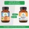 Organic India Immunity Boosts Immune Response, 60 Capsules