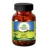 Organic India Giloy Immune Support, 60 Capsules