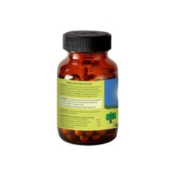 Organic India Flexibility Joint Pain Relief, 60 Capsules