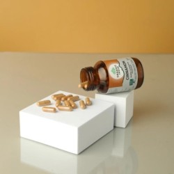Organic India Cinnamon Healthy Carbohydrate Metabolism, 60 Capsules