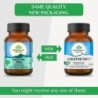 Organic India Breathe Free Respiratory & Congestion Relief