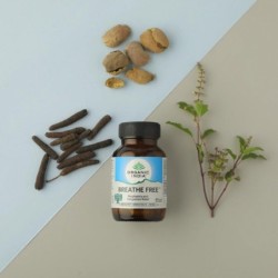 Organic India Breathe Free Respiratory & Congestion Relief