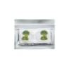 Mamaearth 100% Natural Mosquito Repellent Patches, 24 Patches