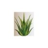Sleek Aloe Vera Wax, Rejuvenate the Skin on Waxing 600g