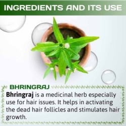 Indus Valley Bio Organic- Organic Bhringraj Leaf Powder (Organic