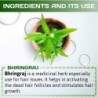 Indus Valley Bio Organic- Organic Bhringraj Leaf Powder (Organic