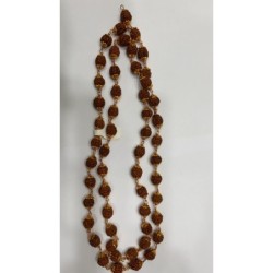 Satvik Gold Plated Rudraksh Mala, for Neck Wearing, Prayer, Rosary