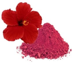 Ayurnutri Chembarathi Poo Churnam (Hibiscus Flower Powder) 100g