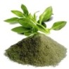Ayurnutri Nilavembu Churnam (Kalmegh Powder) 100g