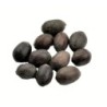 Satvik Natural Raw Kamal Gatta (Lotus Seeds) for Prayers 11 Pcs