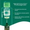 Wow Skin Science Green Tea and Tea Tree Anti-Dandruff Shampoo - Helps