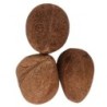 Satvik Dry Whole Coconut (Uncut, Non Edible) for Puja, Prayer & Hawan