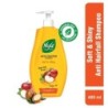 Nyle Naturals Soft & Shiny Anti Hairfall Shampoo with Apple Cider