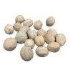 Orgonutri Spice Whole Nutmeg, Jaiphal, Jathikai - Pure and Natural
