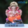 Satvik Ef 30 Eco Friendly Ganesha Idol Made of Clay Shadu Mati