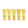 Shahnaz Husain Professional 5 Step Anti-Tan Skin Care Kit 50g