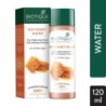 Biotique Bio Honey Water Pore Tightening Toner with Himalayan Waters
