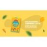Wagh Bakri Instant Premix Haldi / Turmeric Doodh Latte Sachet