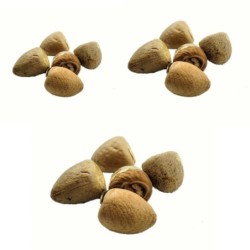 Satvik Whole Pooja Supari (Betel Nut Whole ) 20 (Pcs) for Prayer