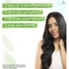 Mamaearth Rosemary Anti Hair Fall Shampoo with Rosemary & Methi Dana