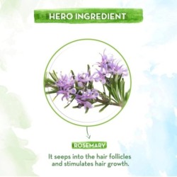 Mamaearth Rosemary Essential Oil for Hair Growth - 100% Pure