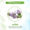 Mamaearth Rosemary Essential Oil for Hair Growth - 100% Pure