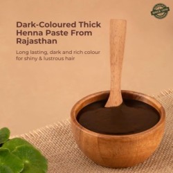 Indusvalleybioorganic Herbal Henna with Bhringraj & Shikakai -, Brown
