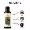 Khadi Organique Amla & Reetha Hair Cleanser 210 Ml