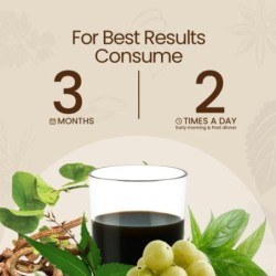 Krishna's Herbal & Ayurveda Patharchatadi Juice- Dissolve or Break
