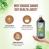 Dabur Gut Health Juice - 100% Natural & Ayurvedic All in One