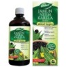 Dabur Jamun Neem Karela Juice - Helps Control Blood Sugar Level