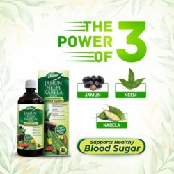 Dabur Jamun Neem Karela Juice - Helps Control Blood Sugar Level