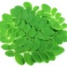 Orgonutri Moringa Leaf Powder (Pure and Natural) 100g