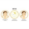 Lakmé Peach Milk Face Moisturizer SPF 24 PA++, Daily Light Sunscreen